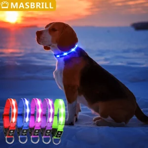 Waterproof Light Up Pet Collar USB Rechargeable