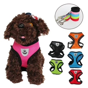 Pet Adjustable Harness Vest Walking Lead Leash