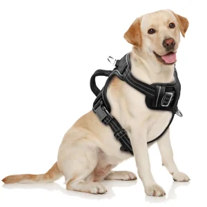 No-Pull Adjustable Reflective Dog Harness