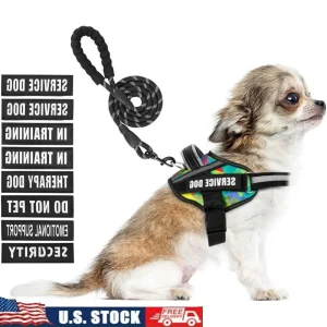 Service Dog Harness Leash Set 10 Patches