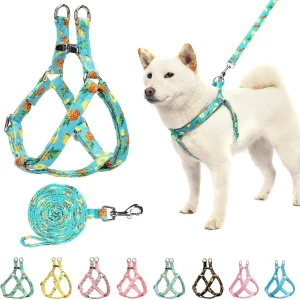 Adjustable Heavy Duty No-Pull Vest Harness/Leash Set